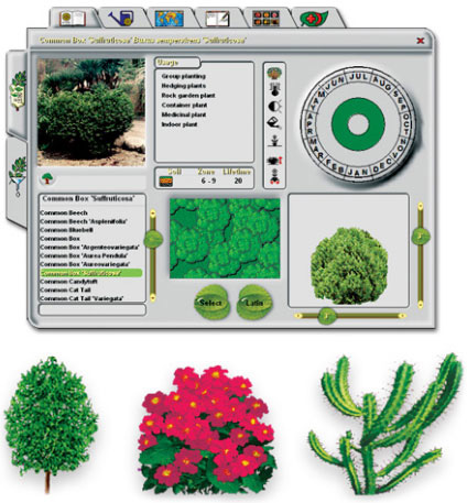 Garden Design Software | HGTV Software