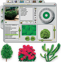 Landscaping & Decks
